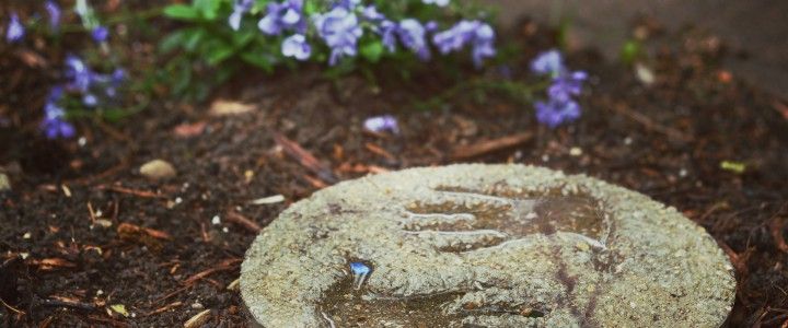 DIY Concrete Stepping Stones